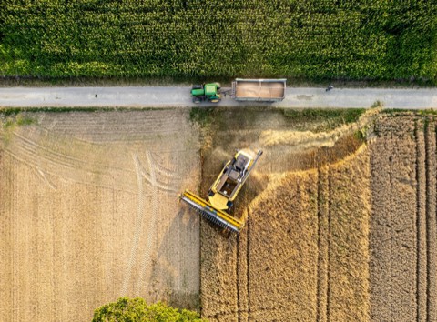Aerial view of a combine harvester cutting a wheat field beside a tractor and grain trailer